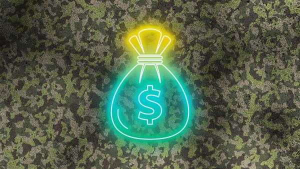 A Warrior's Dividend, Or Something